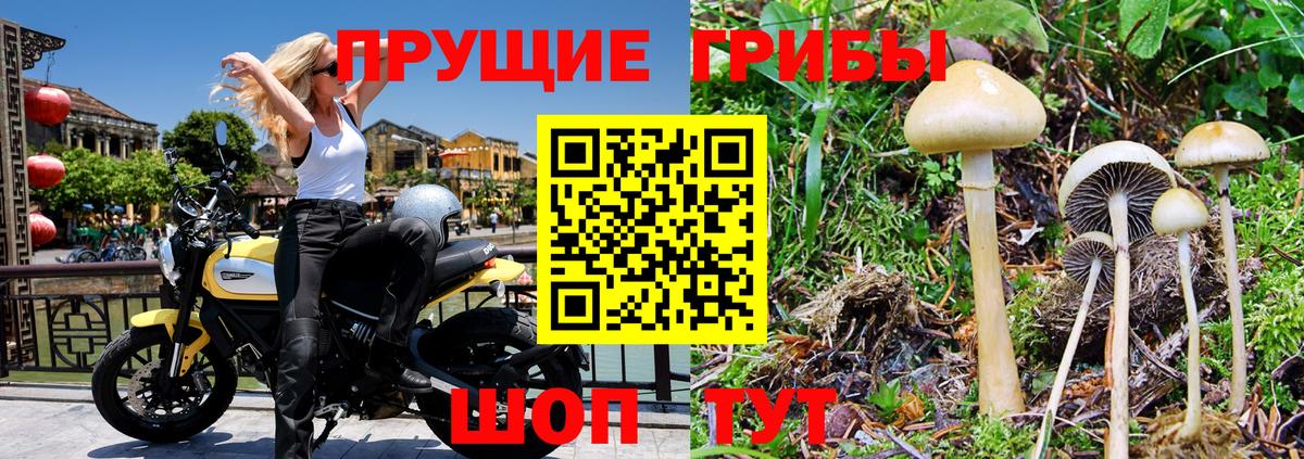 Галлюциногенные грибы MAGIC MUSHROOMS Кубинка