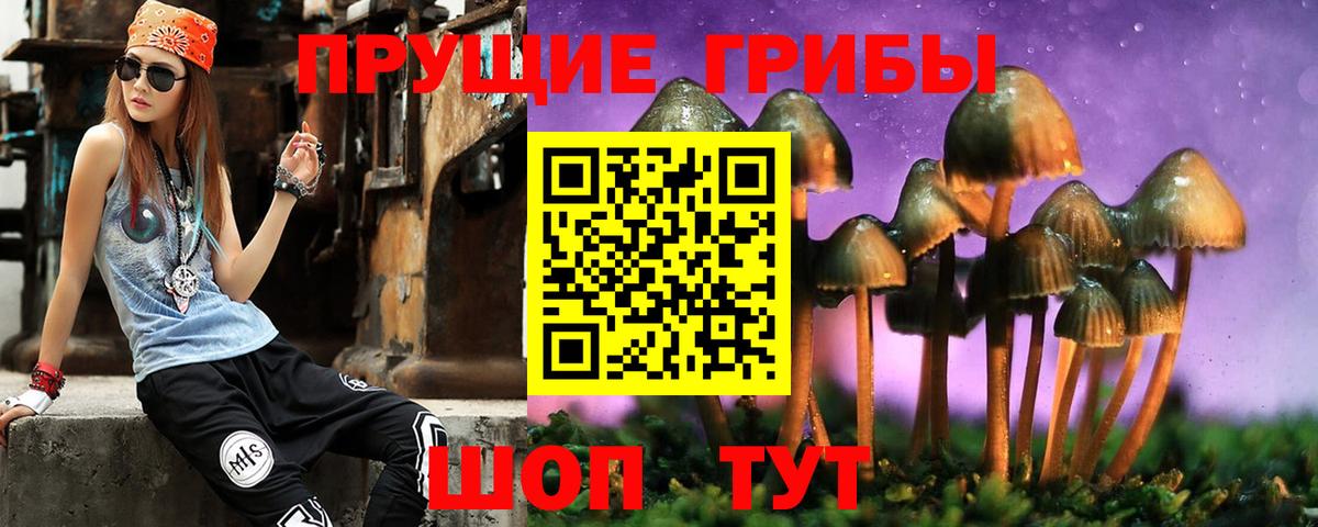 Псилоцибиновые грибы мухоморы  Галлюциногенные грибы Psilocybe  Вход с VPN  Кубинка 